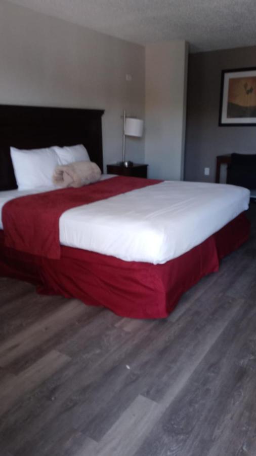 La Casa Inn New Port Richey Gulf Beach Us-19 Exteriör bild