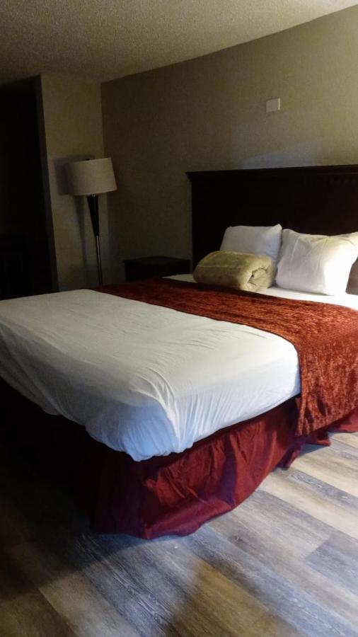 La Casa Inn New Port Richey Gulf Beach Us-19 Exteriör bild